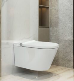 Douche toilet de Luxe 6008 0